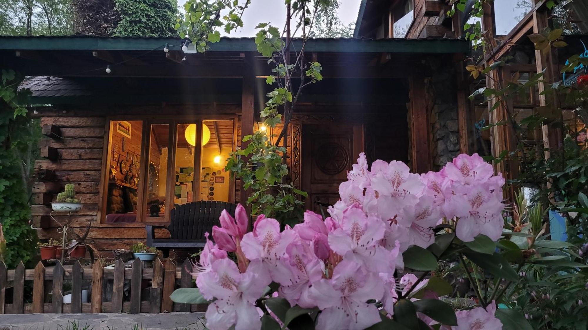 埃博森 梅里迪亚诺71号旅馆酒店 外观 照片